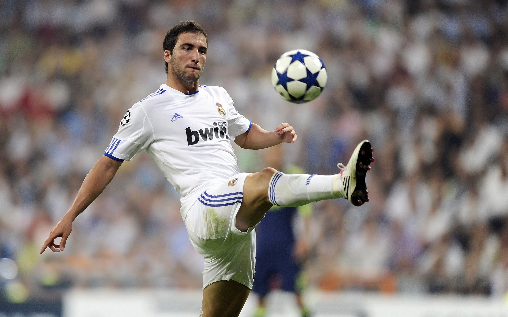 本土教练缺乏高水平执教实战平台,有的教练通过率低原因